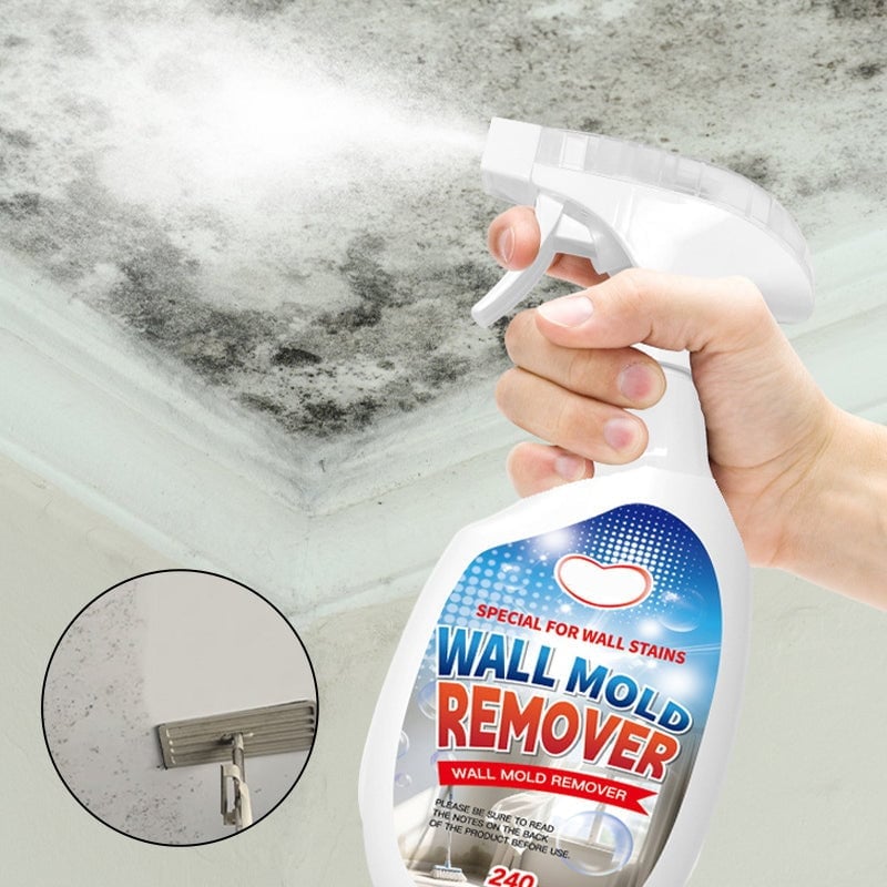 Fast Acting Anti-Mold Wall Cleaner Spray
