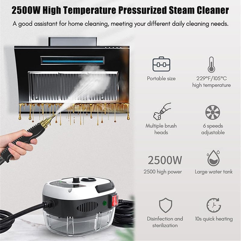 Handheld Steam Cleaner✨
