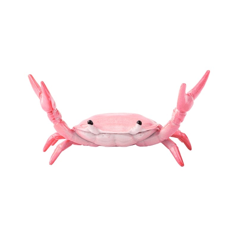 🦀 Crab Weightlifting Pen Holder