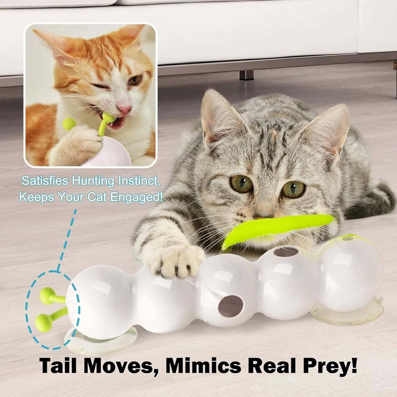 Interactive Electric Caterpillar Cat Toy
