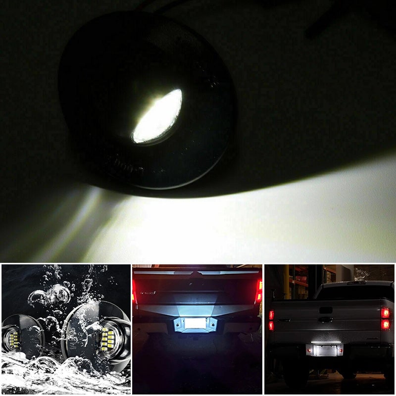 LED License Plate Light Assembly