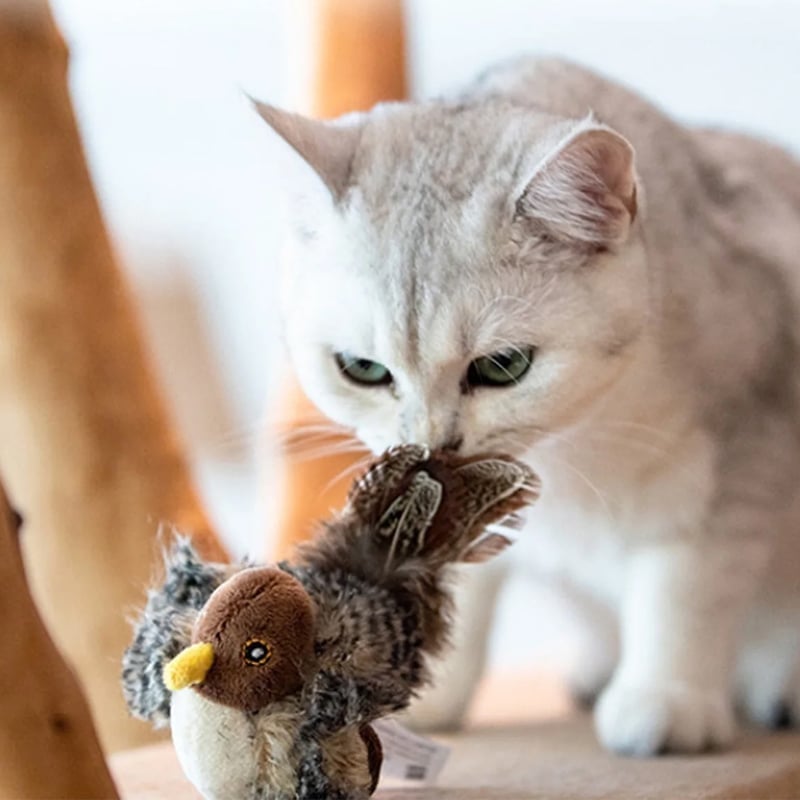 🎁Upgraded Simulated Chirping Bird