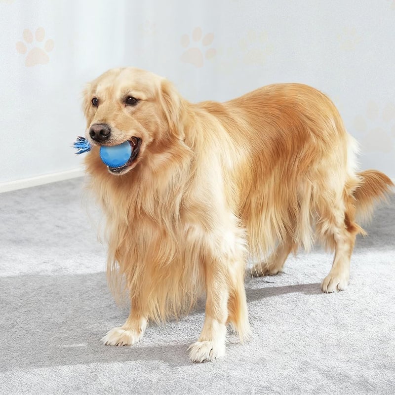 Interactive Dog Toys