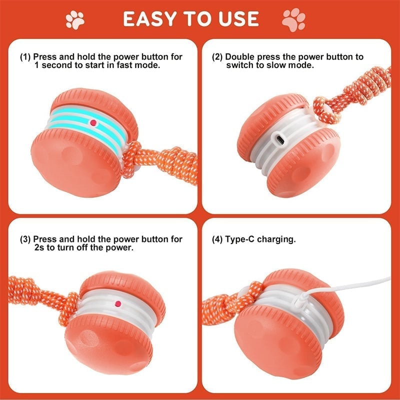 Interactive Dog Toys