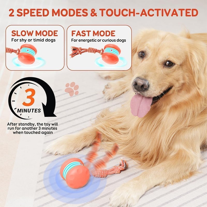 Interactive Dog Toys