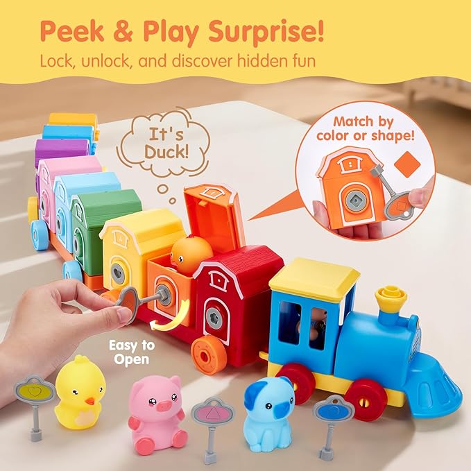 Animal Train Matching Toy