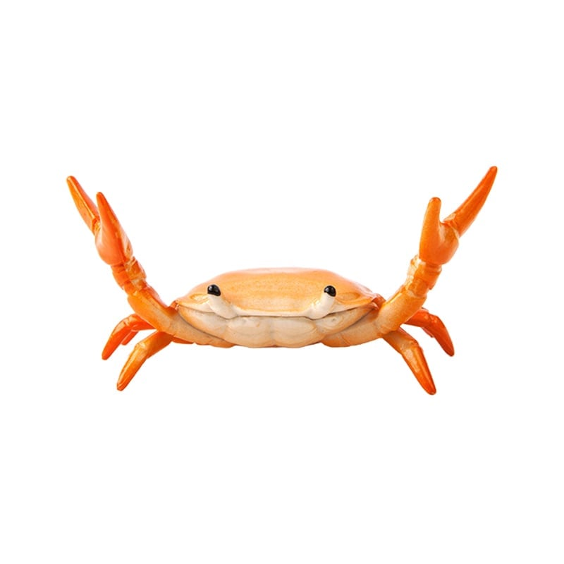 🦀 Crab Weightlifting Pen Holder