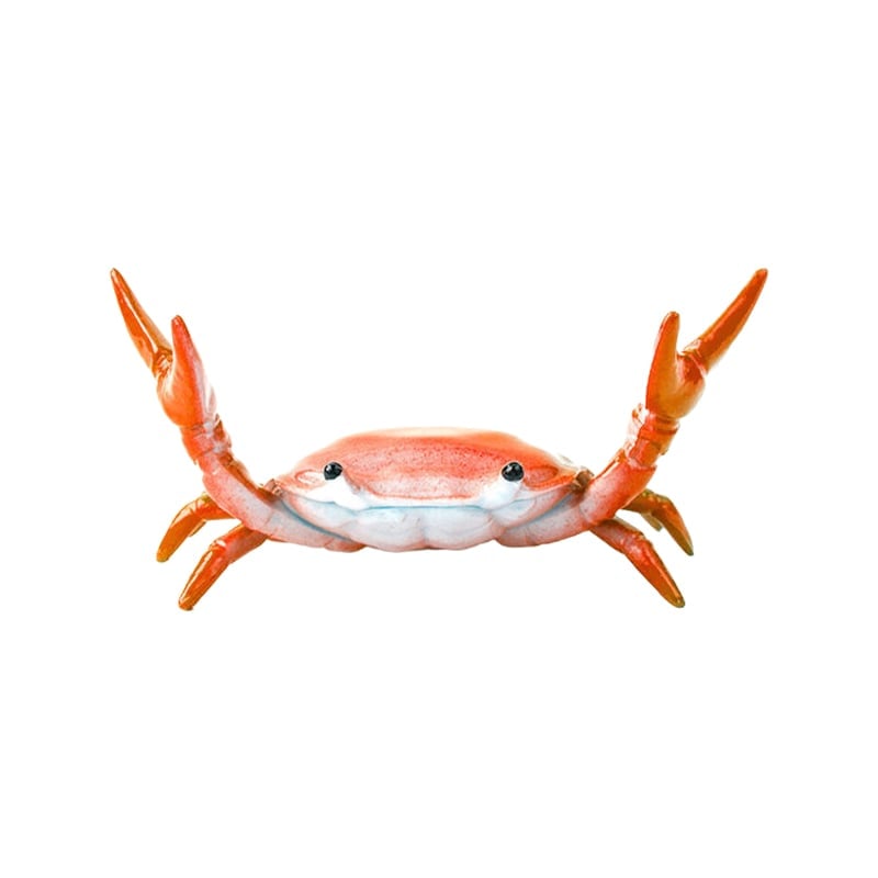 🦀 Crab Weightlifting Pen Holder