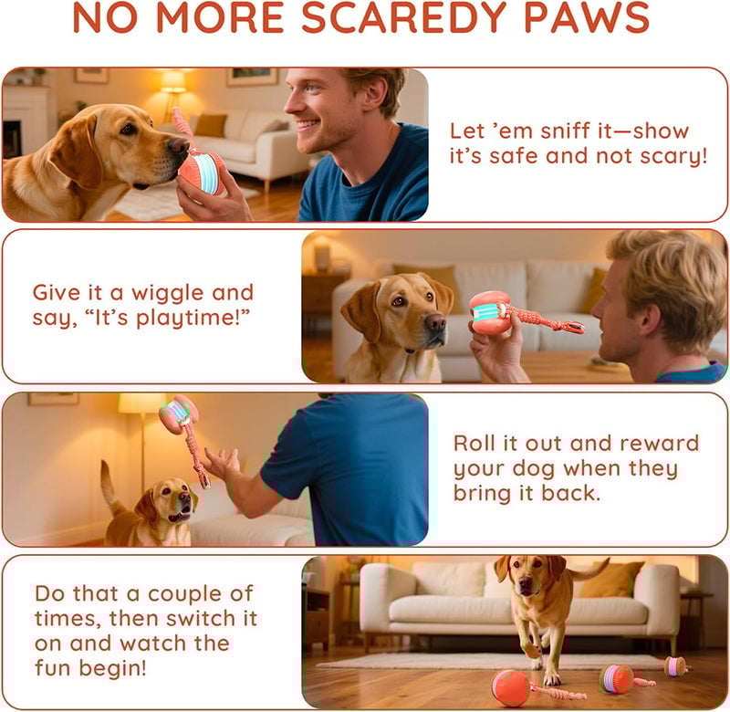 Interactive Dog Toys