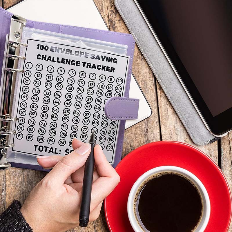 100 Envelope Challenge Binder