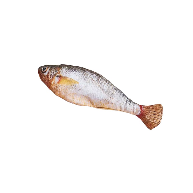 Realistic Flopping Fish Cat Toy