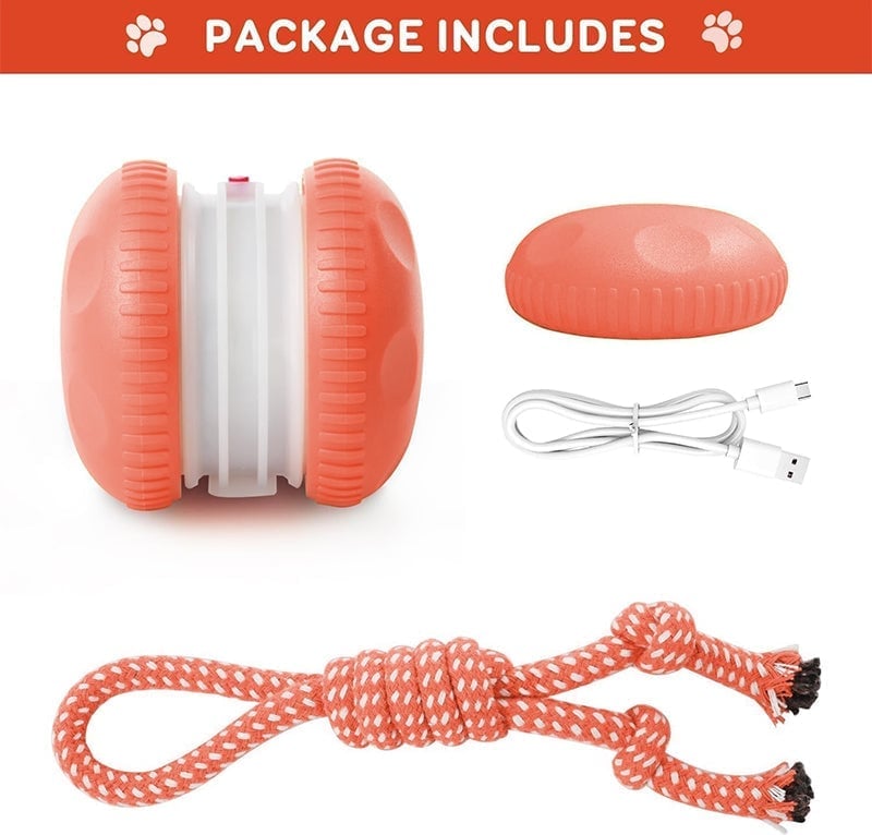 Interactive Dog Toys