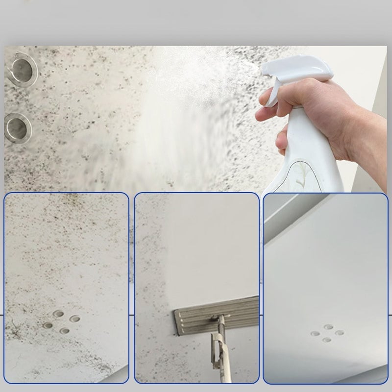 Fast Acting Anti-Mold Wall Cleaner Spray