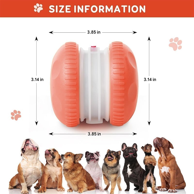 Interactive Dog Toys