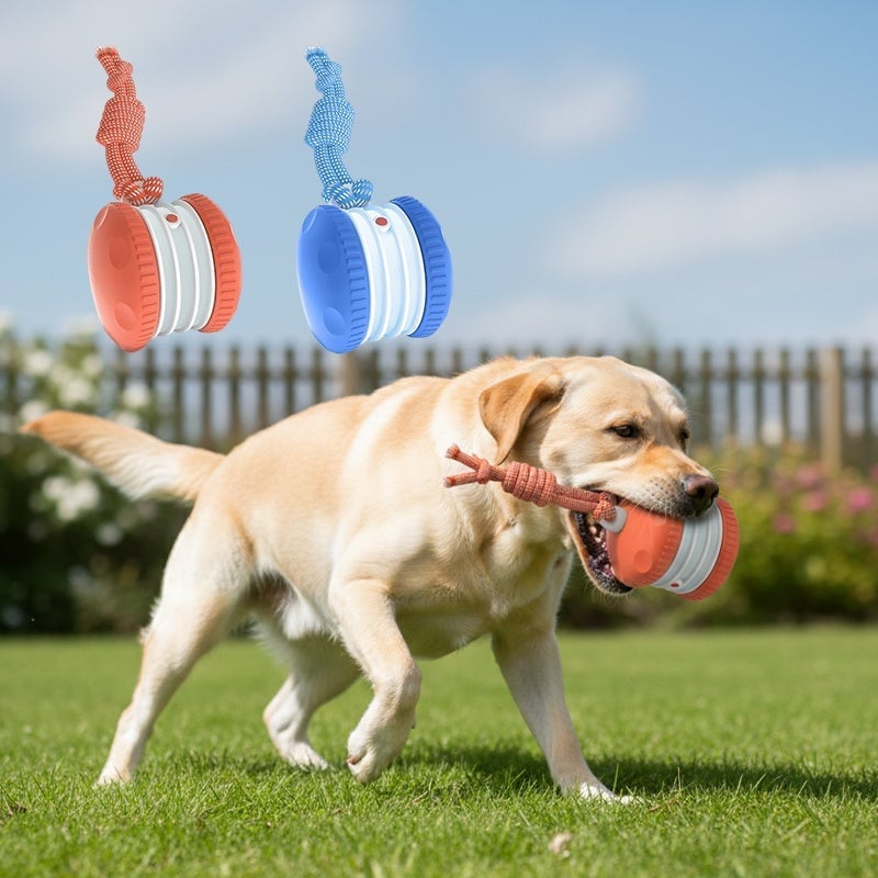 Interactive Dog Toys