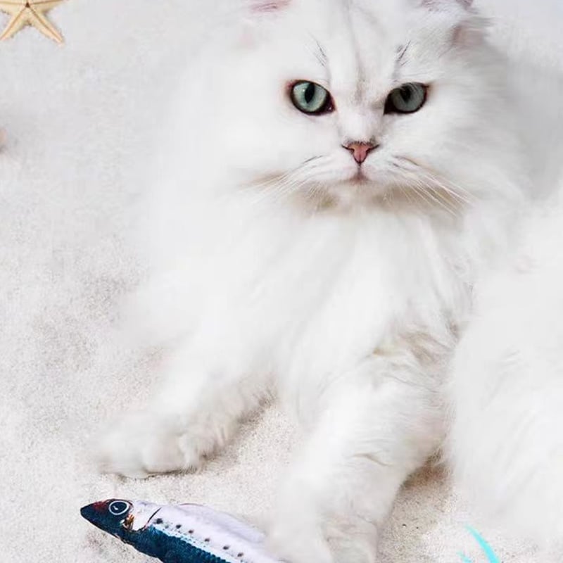 Realistic Flopping Fish Cat Toy