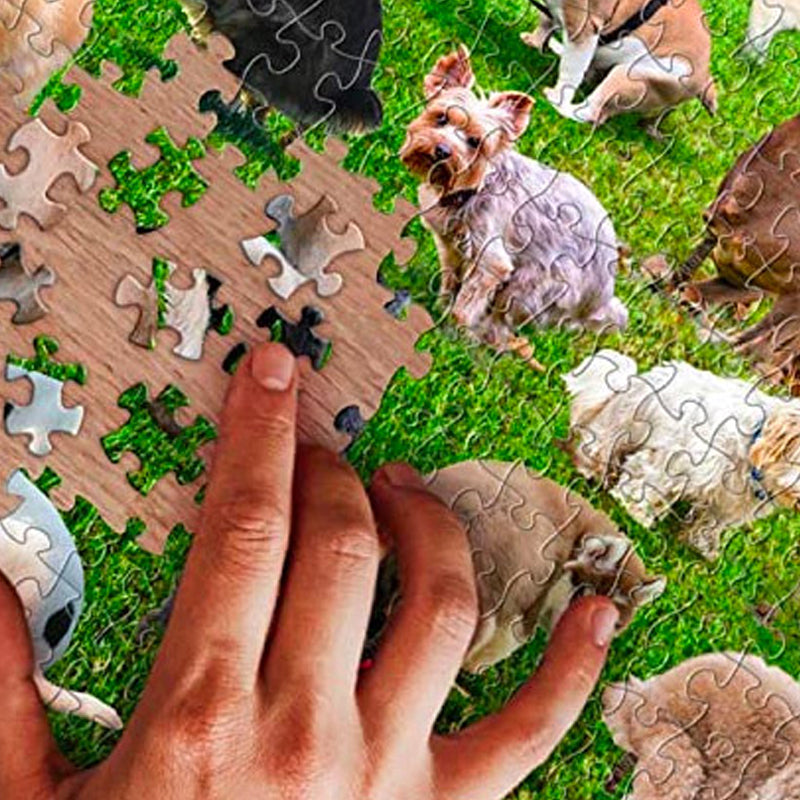 1000 Piece Puzzle, 101 Pooping Puppies, Dogs Pooping Puzzle