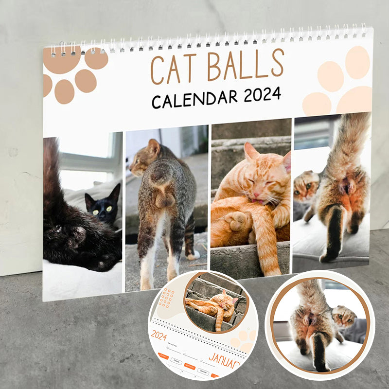 Funniest calendar of the century | Funny Cat Calendar 2024